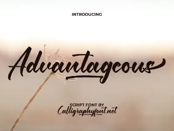 Advantageous Demo font