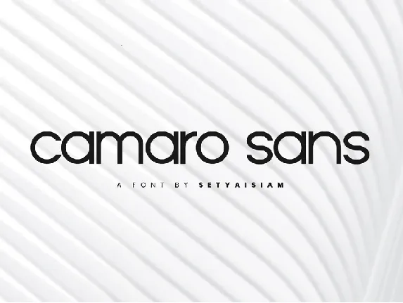 Camaro Sans font