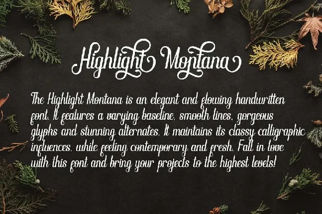 Highlight Montana font