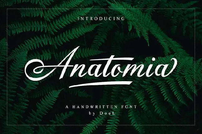 Anatomia font