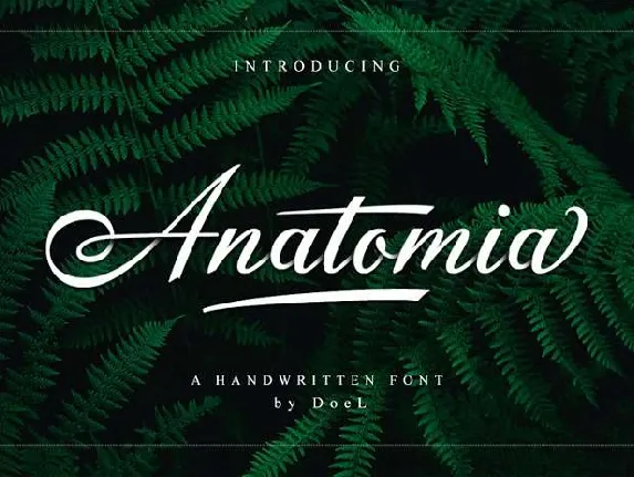 Anatomia font