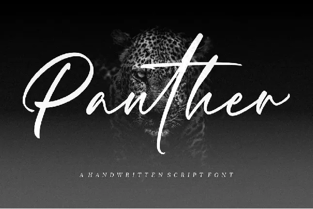 Panther font