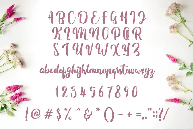 Fitamint Script font