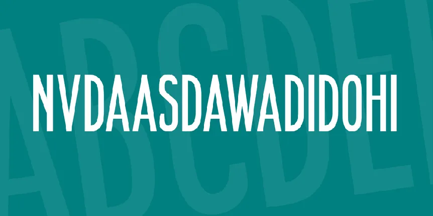 NVDAASDAWADIDOHI font