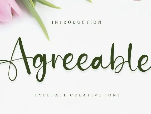 Agreeable Calligraphy font