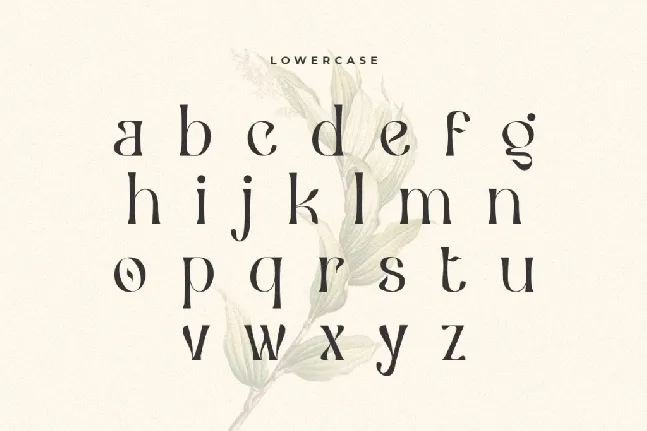 SS Ceria font