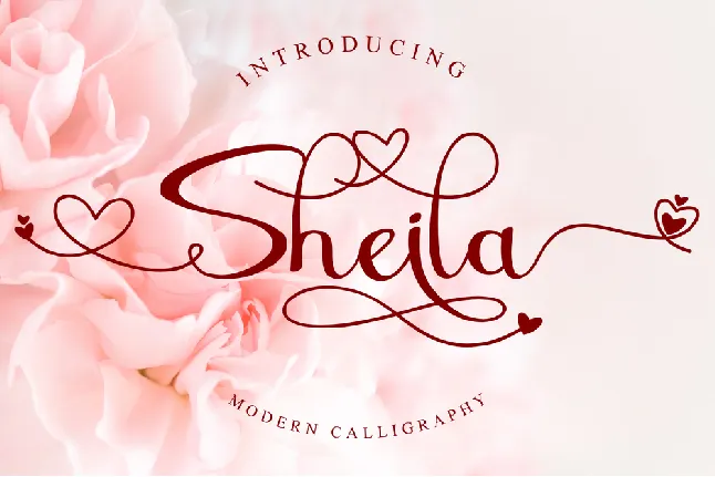 Sheila font