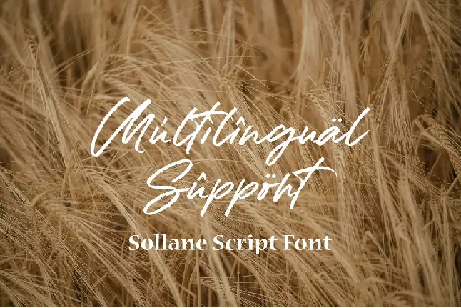 Sollane font