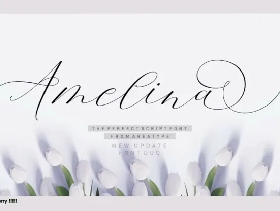 Amelina Script font