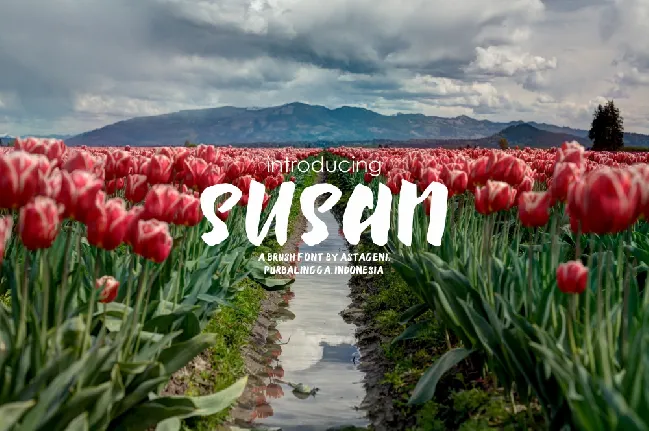 Susan Brush font