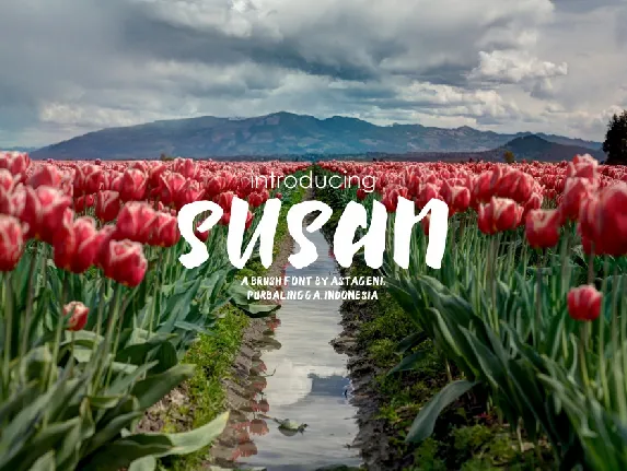 Susan Brush font