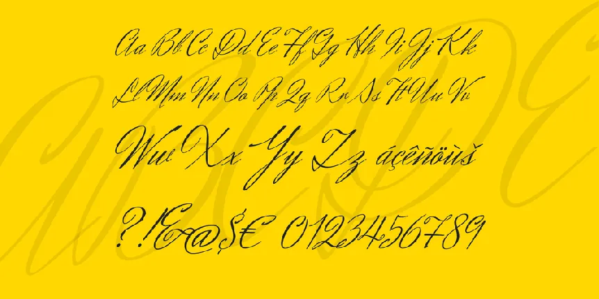 Herr Von Muellerhoff font