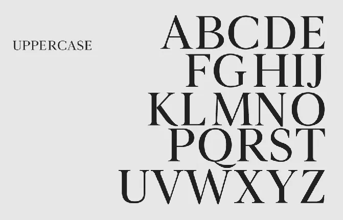 Novar Typeface font