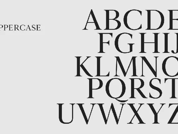 Novar Typeface font