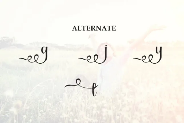 Delight Script font