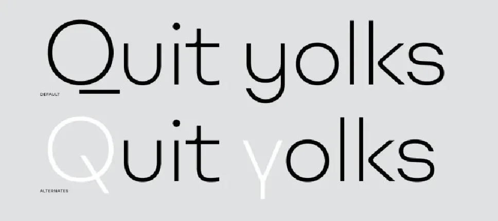 Ulm Grotesk Family font