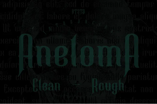 Aneloma Demo Rough font