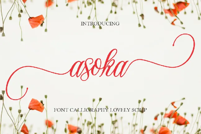 Asoka font