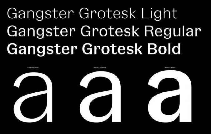 Gangster Grotesk Family font