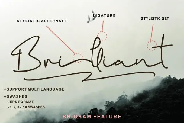 Brigham Signature font