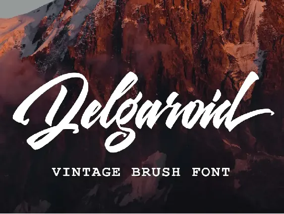 Delgaroid font