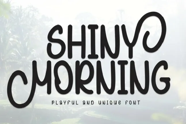 Shiny Morning Display font