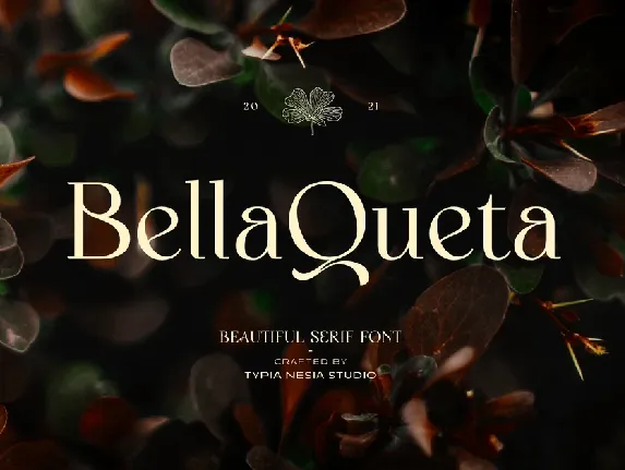 Bella Queta font