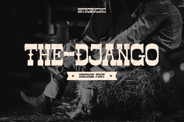 The-Django font