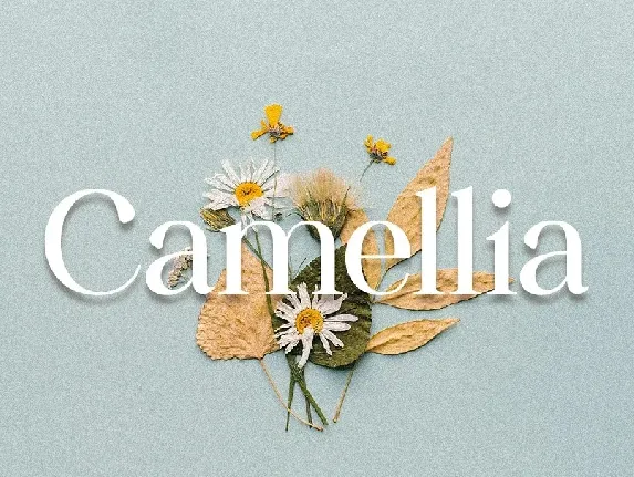 Camellia font