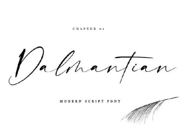 Dalmantian Script font