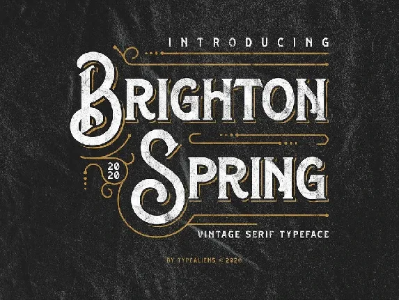 Brighton Spring Serif Typeface font