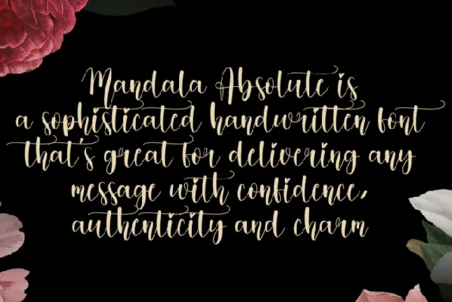 Mandala Absolute font