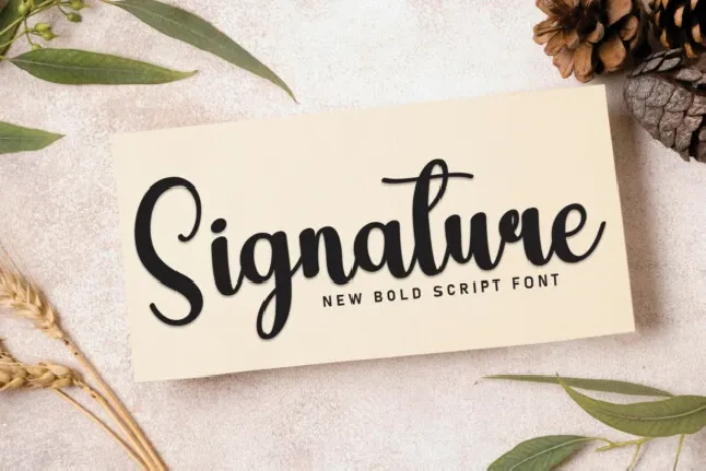 Groovyday Script font