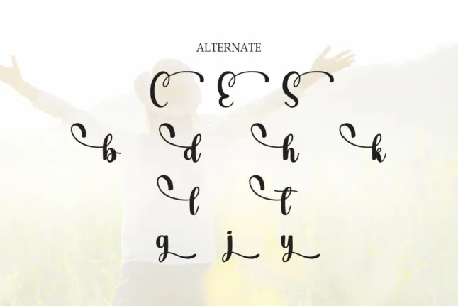 Groovyday Script font