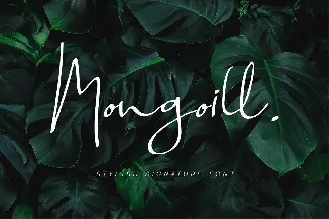 Mongoill font