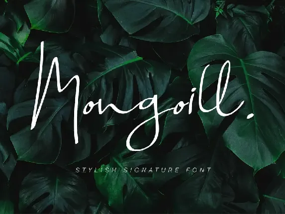 Mongoill font