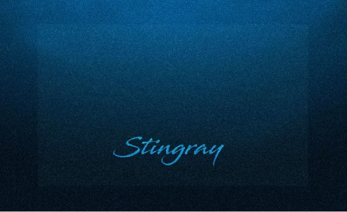 Stingray font