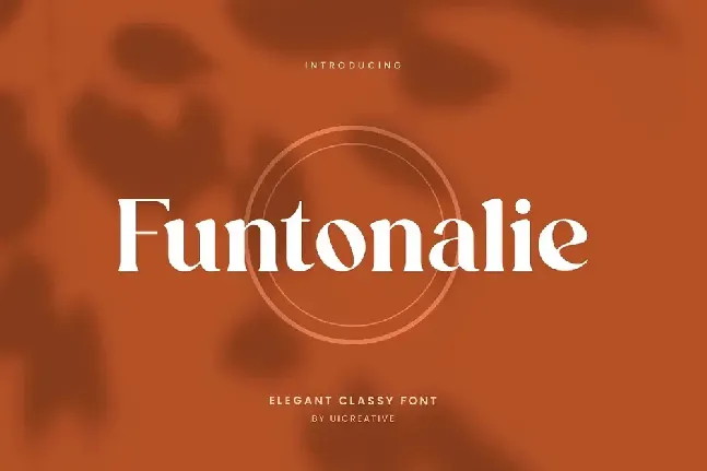 Funtonalie font