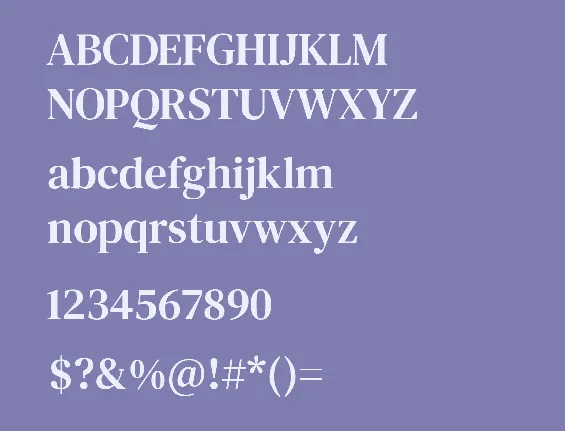 DM Serif Text font