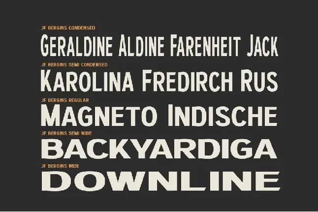 JF Bergins font