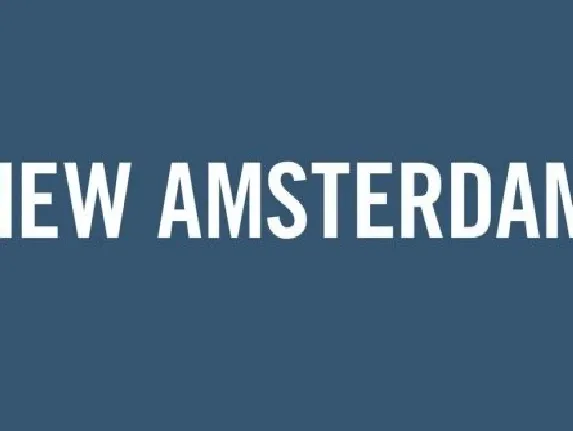 New Amsterdam Family font