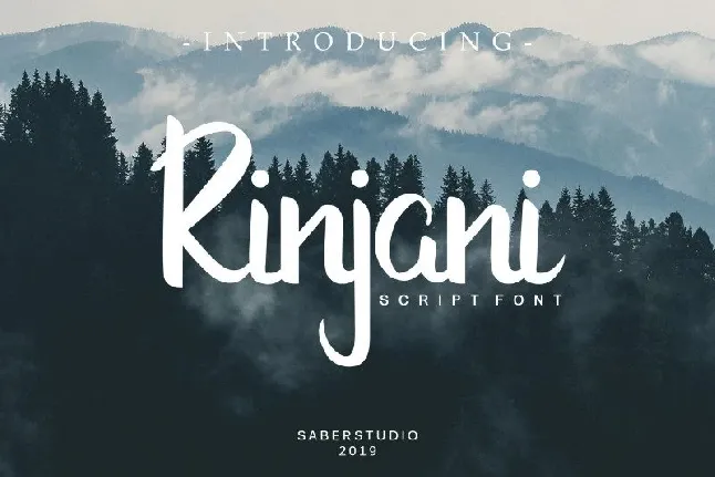 Rinjani Script font