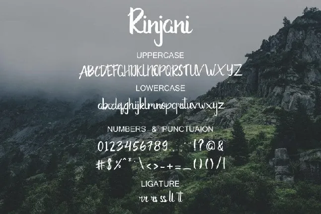 Rinjani Script font