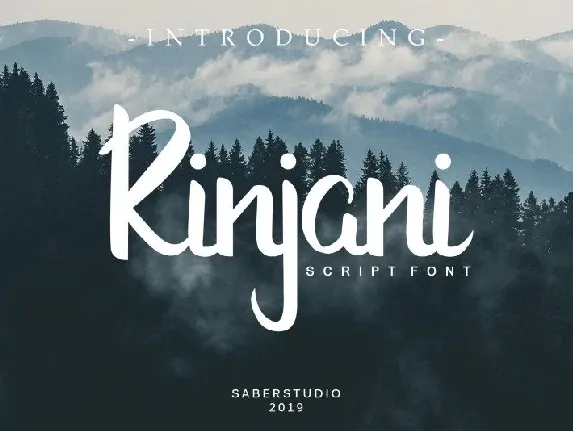 Rinjani Script font