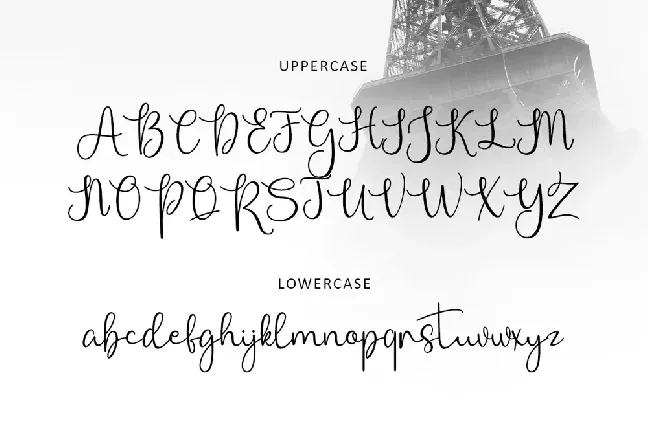 Bellasia font