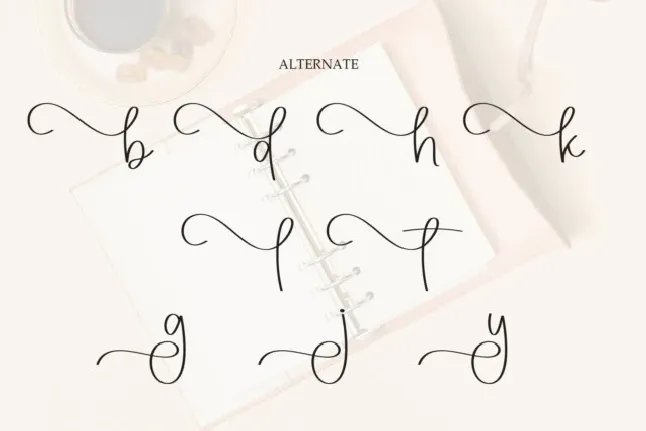 Diarynotes Script font