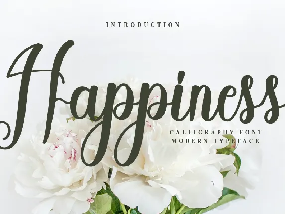 Happiness font