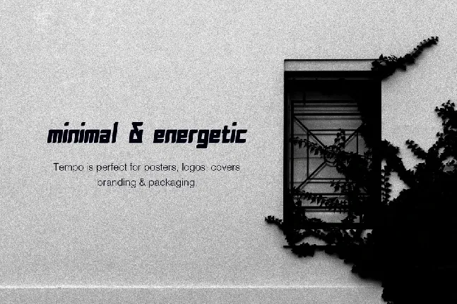 Tempo Typeface font