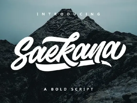 Saekana Bold Script font