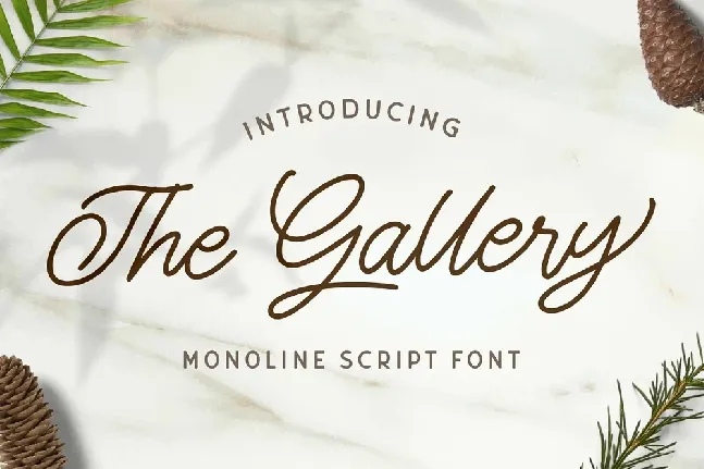 The Gallery Monoline Script font